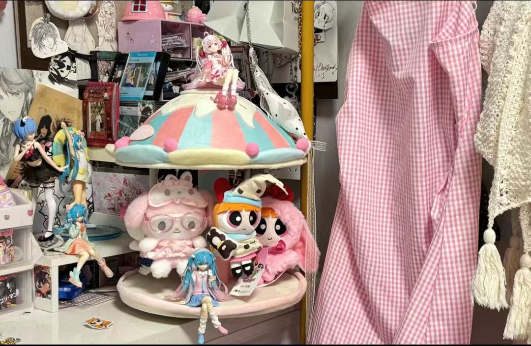 Customer service recommended this \